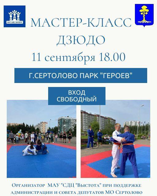 Мастер-класс «дзюдо».