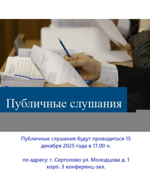 ПРОВЕДЕНИЕ ПУБЛИЧНЫХ СЛУШАНИЙ..